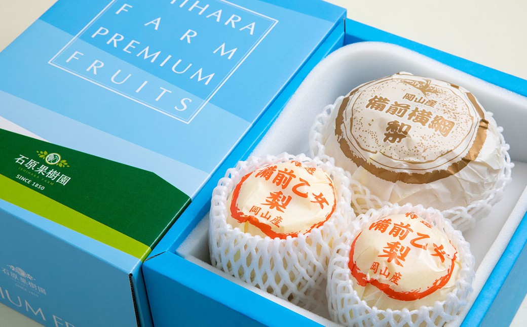 備前横綱 1玉（約1～1.4kg）・備前乙女梨 2～3玉 詰め合わせ 合計約2kg