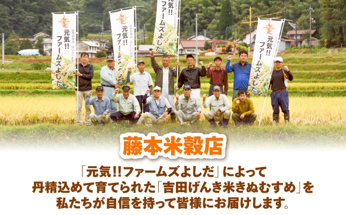 白米 おこめ げんき米 新米 単品 きぬむすめ ごはん お弁当 国産 おいしい 