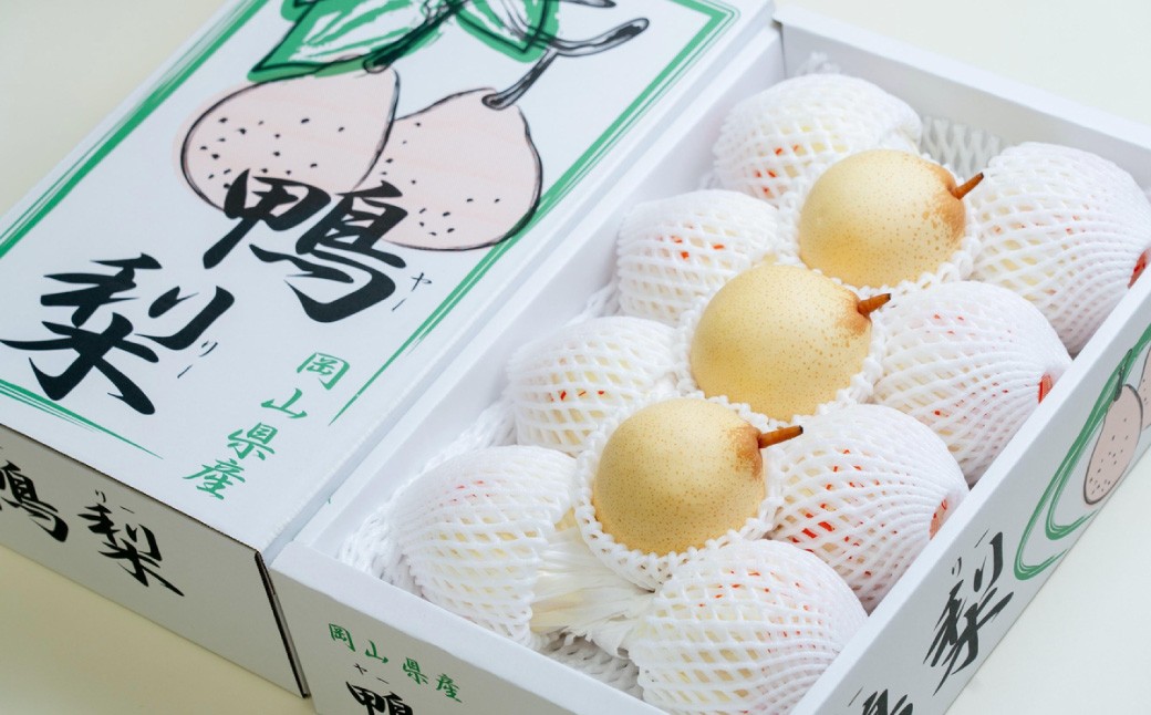 鴨梨（ヤーリー） 6～13玉 合計約4kg ご家庭用