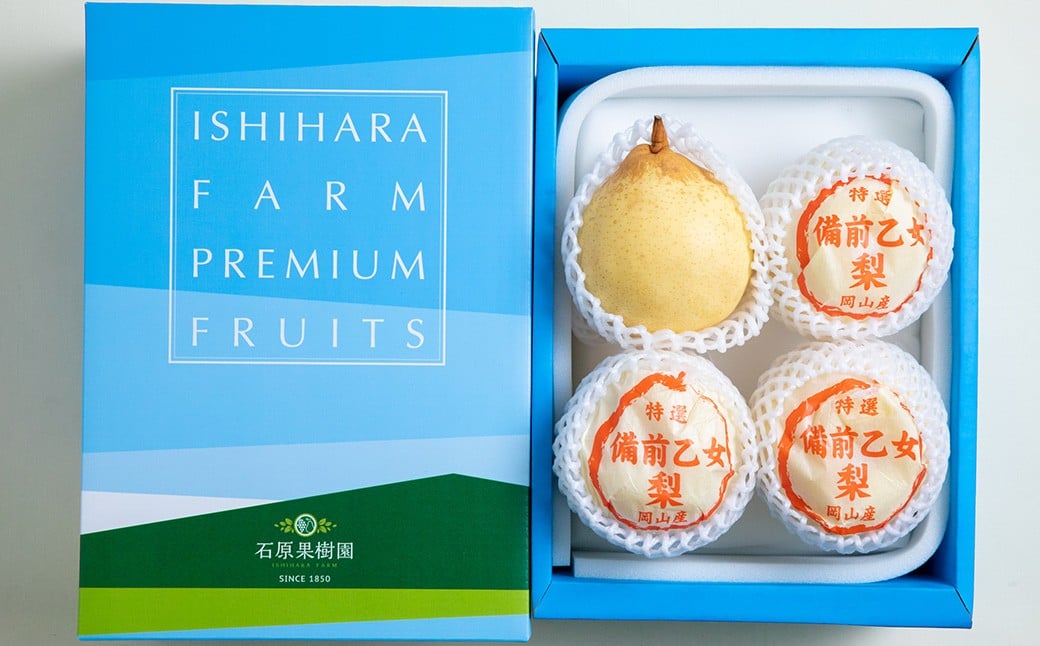 備前乙女梨 3～4玉 合計約2kg
