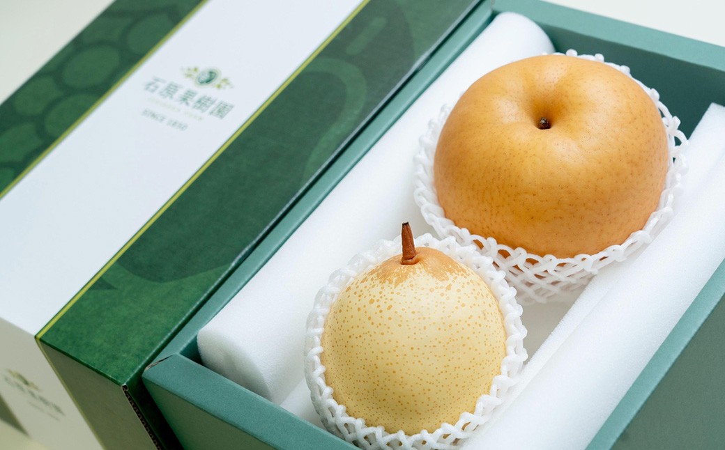 あたご梨・鴨梨（ヤーリー）詰合せ 2玉 合計約2kg 贈答箱