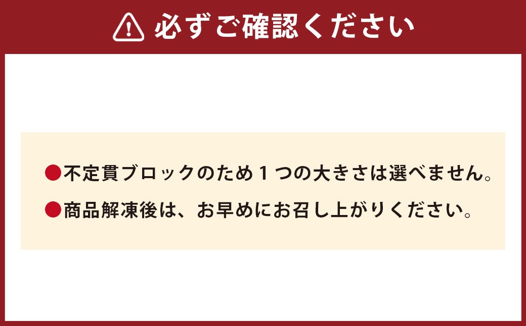 【 フジチク 】 国産 馬刺し 赤身 計約800g