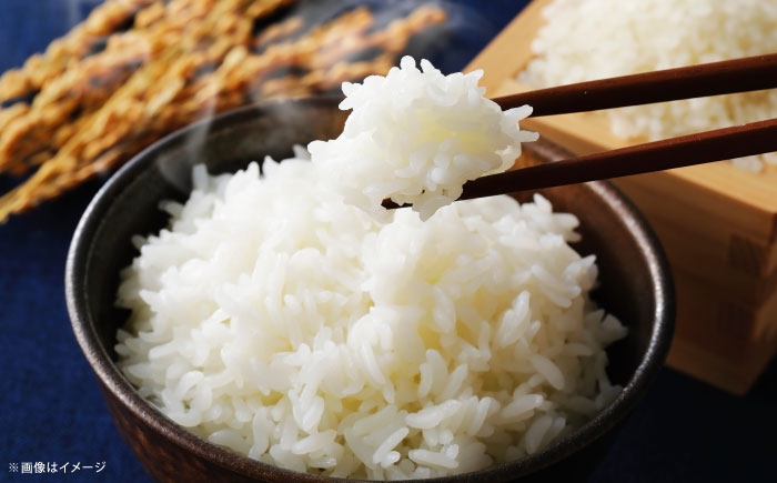 米 2kg 令和7年産 R7年産 コシヒカリ 島根 雲南