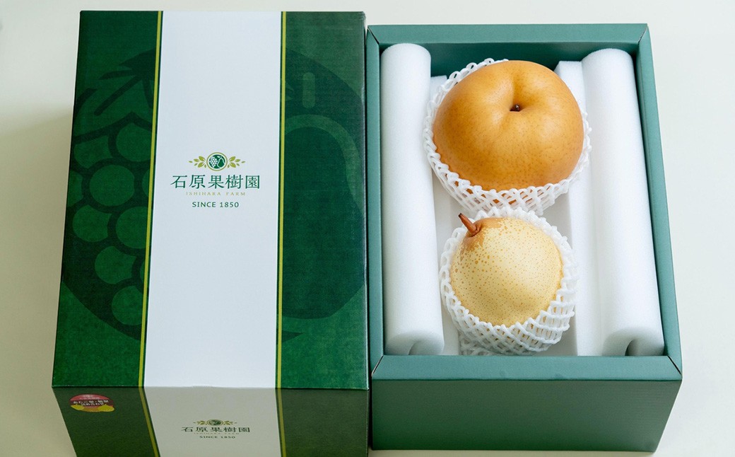 あたご梨 2～3玉・鴨梨（ヤーリー）3～7玉 詰合せ 合計約4kg 化粧箱