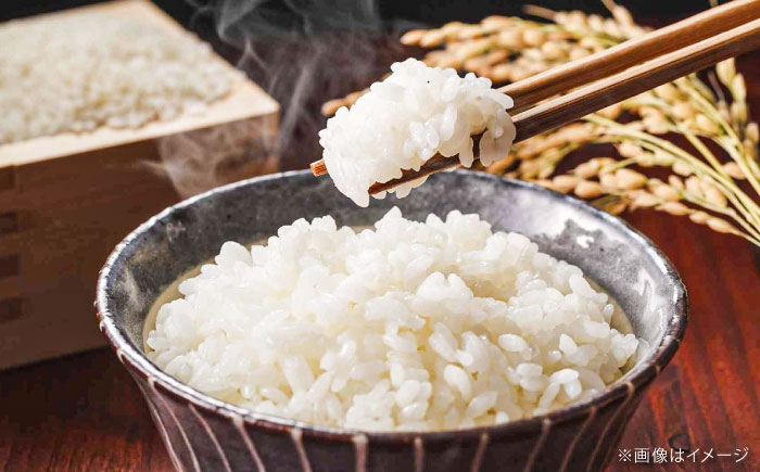 米 白米 こめ おこめ ごはん プレミアム ブランド つや姫 島根県 雲南市