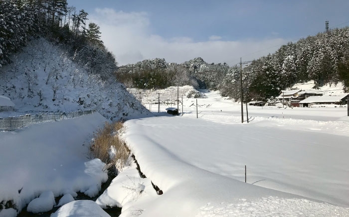 新米 米 白米 コシヒカリ 5kg