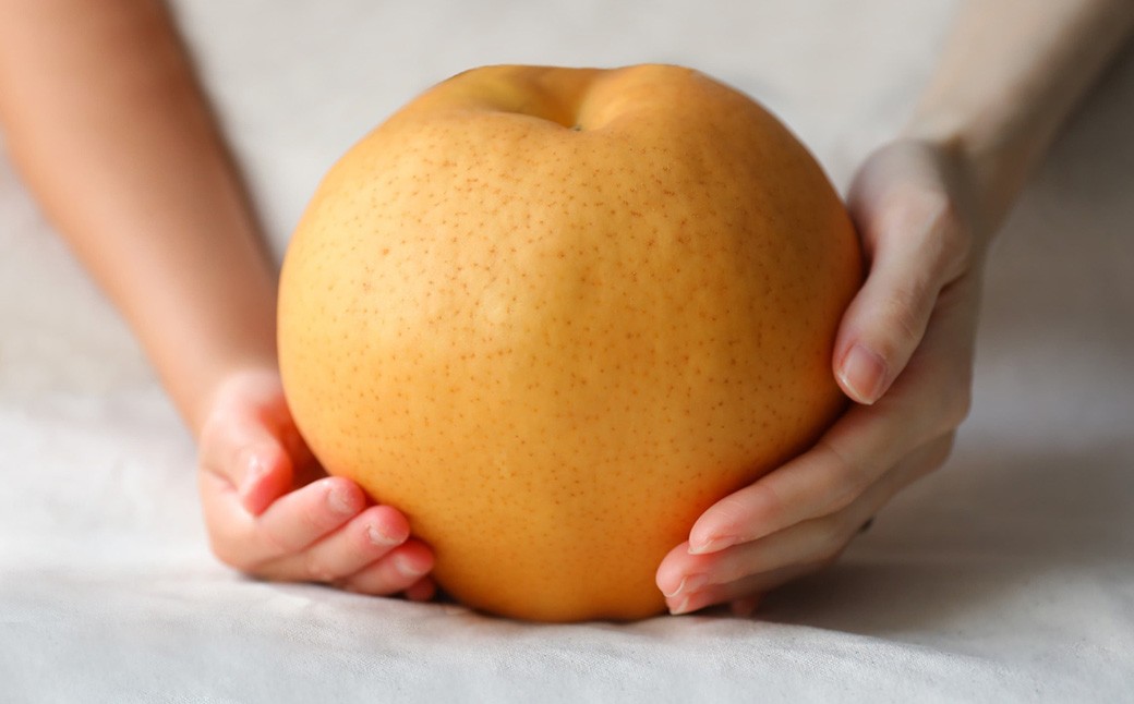 備前横綱 1玉（約1～1.4kg）・備前乙女梨 3～5玉 詰め合わせ 合計約3kg