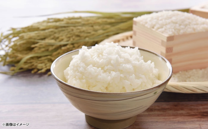 白米 こめ げんき米 新米 定期便 きぬむすめ ごはん お弁当 国産 おいしい 