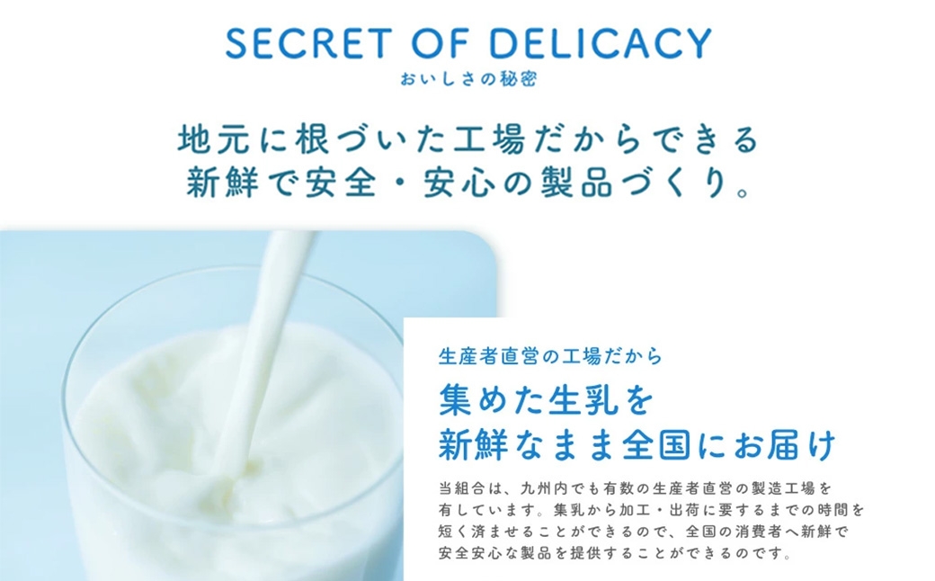 球磨の恵み ヨーグルト 2パック & ドリンクヨーグルト8本 セット