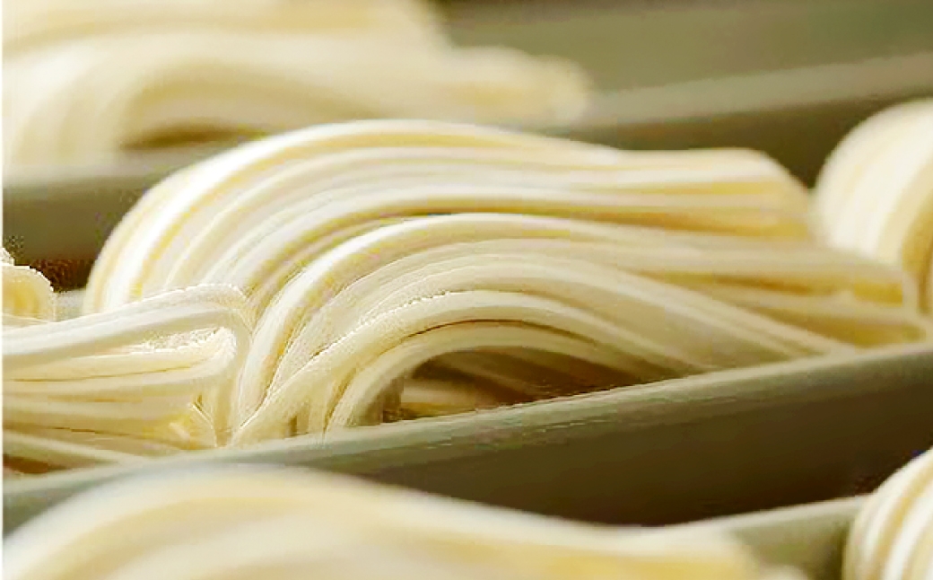 【3ヶ月定期便】『倉敷うどん ぶっかけ』ファミリーセット(半生) 24人前×3回