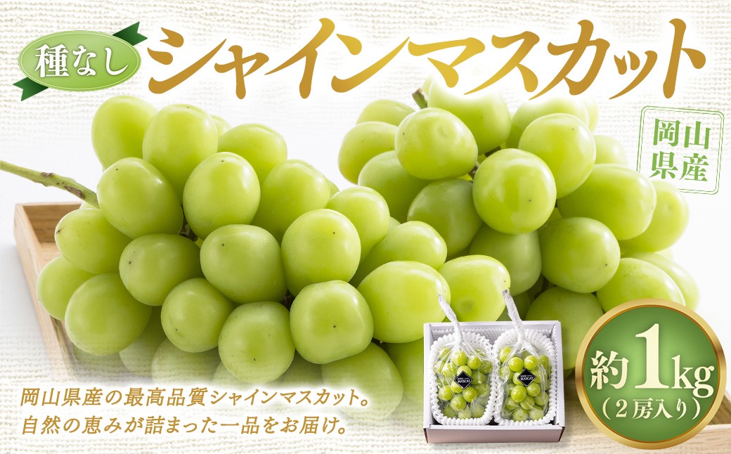 【種なし】岡山県産 シャインマスカット 計約1kg箱 2房入り