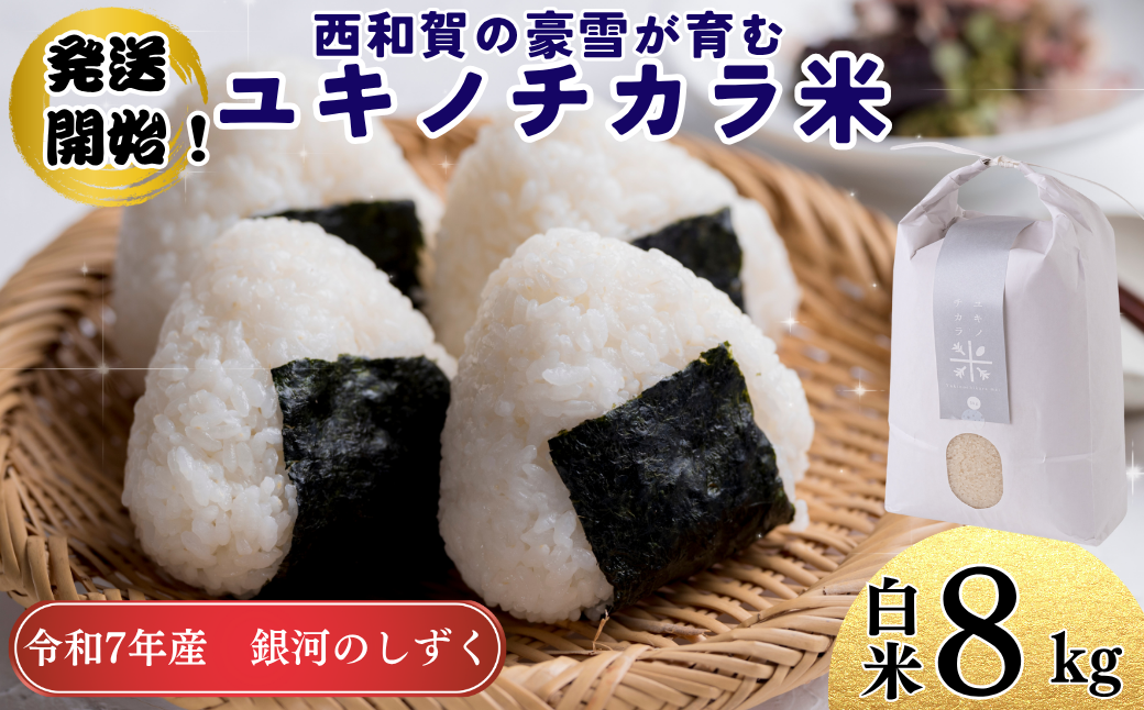 ユキノチカラ米 銀河のしずく 白米８kg