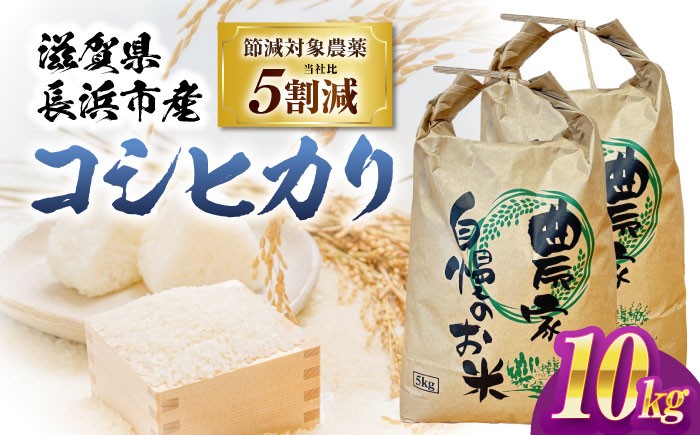米 白米 こしひかり コシヒカリ 10kg 10キロ 滋賀県 長浜市 おすすめ 人気 精米 こだわり おいしいお米 おにぎり