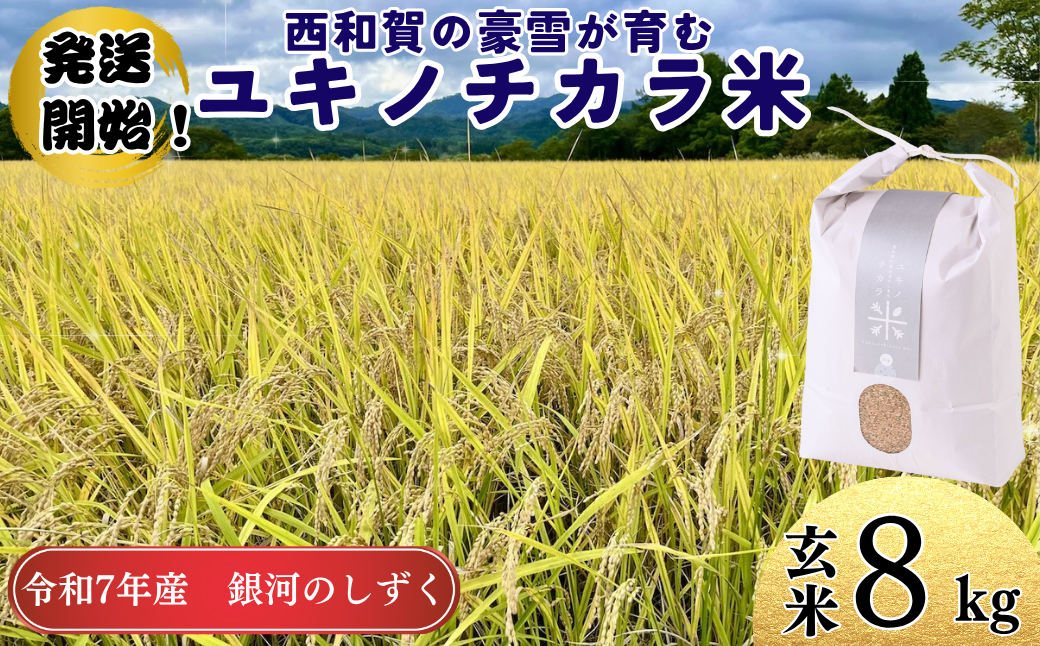 ユキノチカラ米 銀河のしずく 玄米８kg