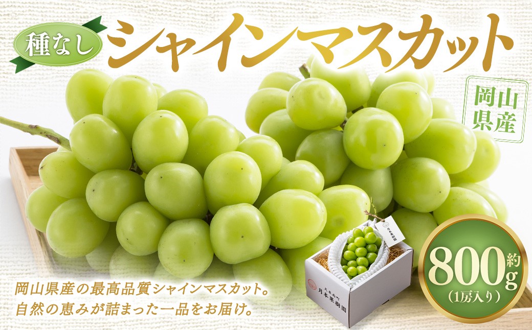 【種なし】岡山県産 シャインマスカット 1房箱 計約800g