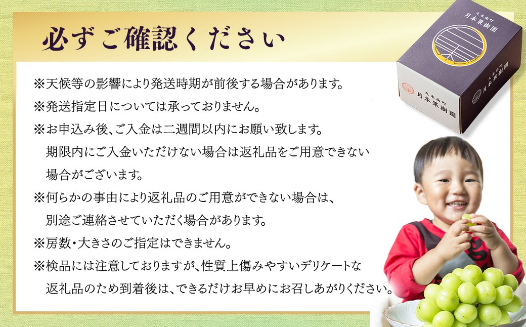 【種なし】岡山県産 シャインマスカット 計約1kg箱 2房入り