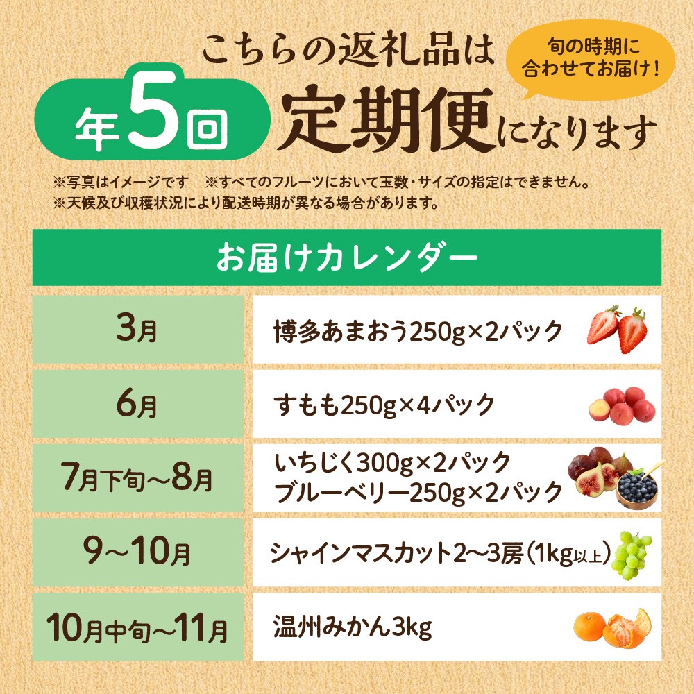 【定期便/年5回】JAむなかた厳選！人気フルーツ定期便