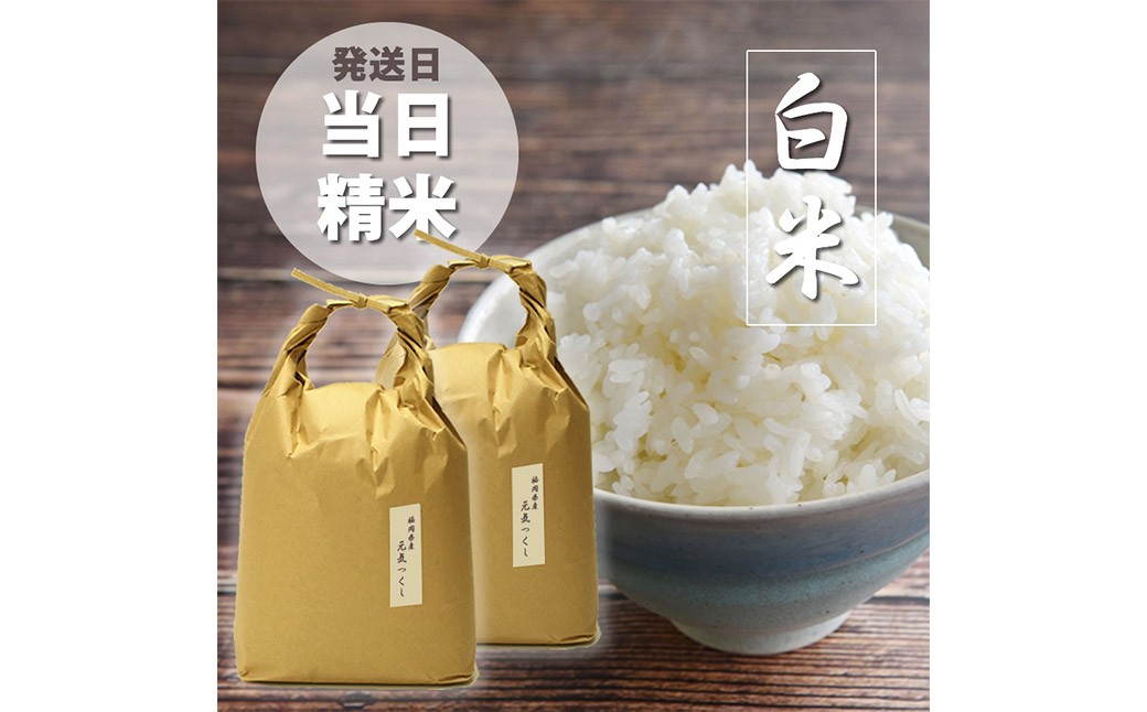 福岡県産【特A】評価のお米「元気つくし」5kg×2袋 計10kg ［白米］