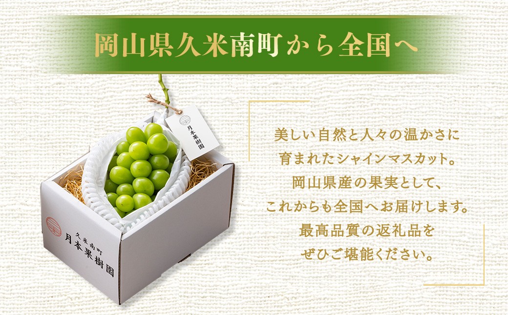 【種なし】岡山県産 シャインマスカット 1房箱 計約800g