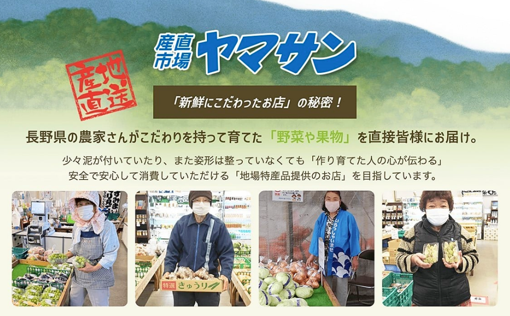 りんご 訳あり サンふじ 約10kg