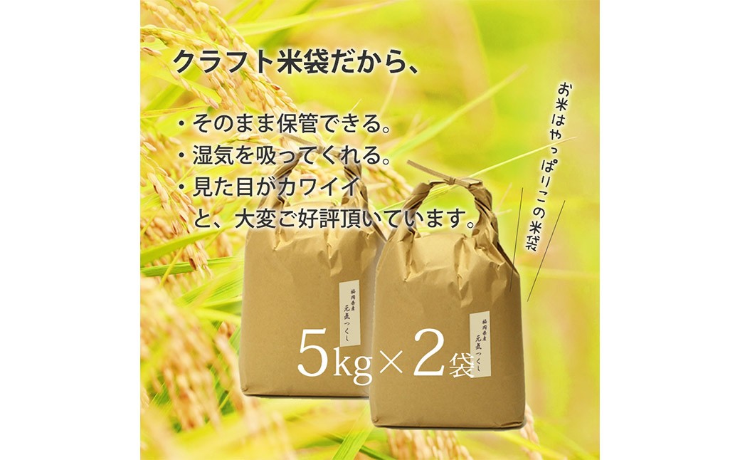福岡県産【特A】評価のお米「元気つくし」5kg×2袋 計10kg ［白米］