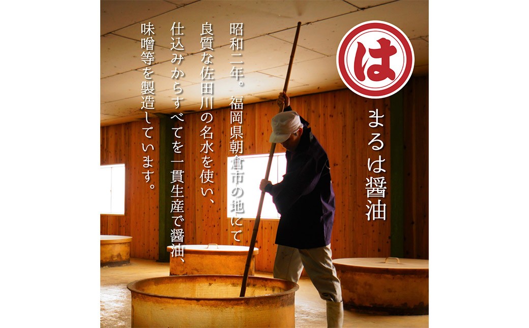 【博多鍋セット1】一番人気のもつ鍋2種セット「九州醤油もつ鍋」と「九州味噌もつ鍋」4～6人前 国産牛もつ 計600g