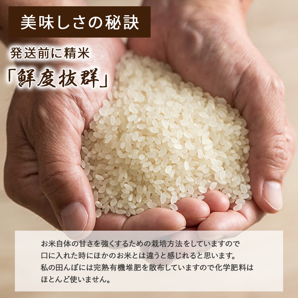 5月田植えの様子