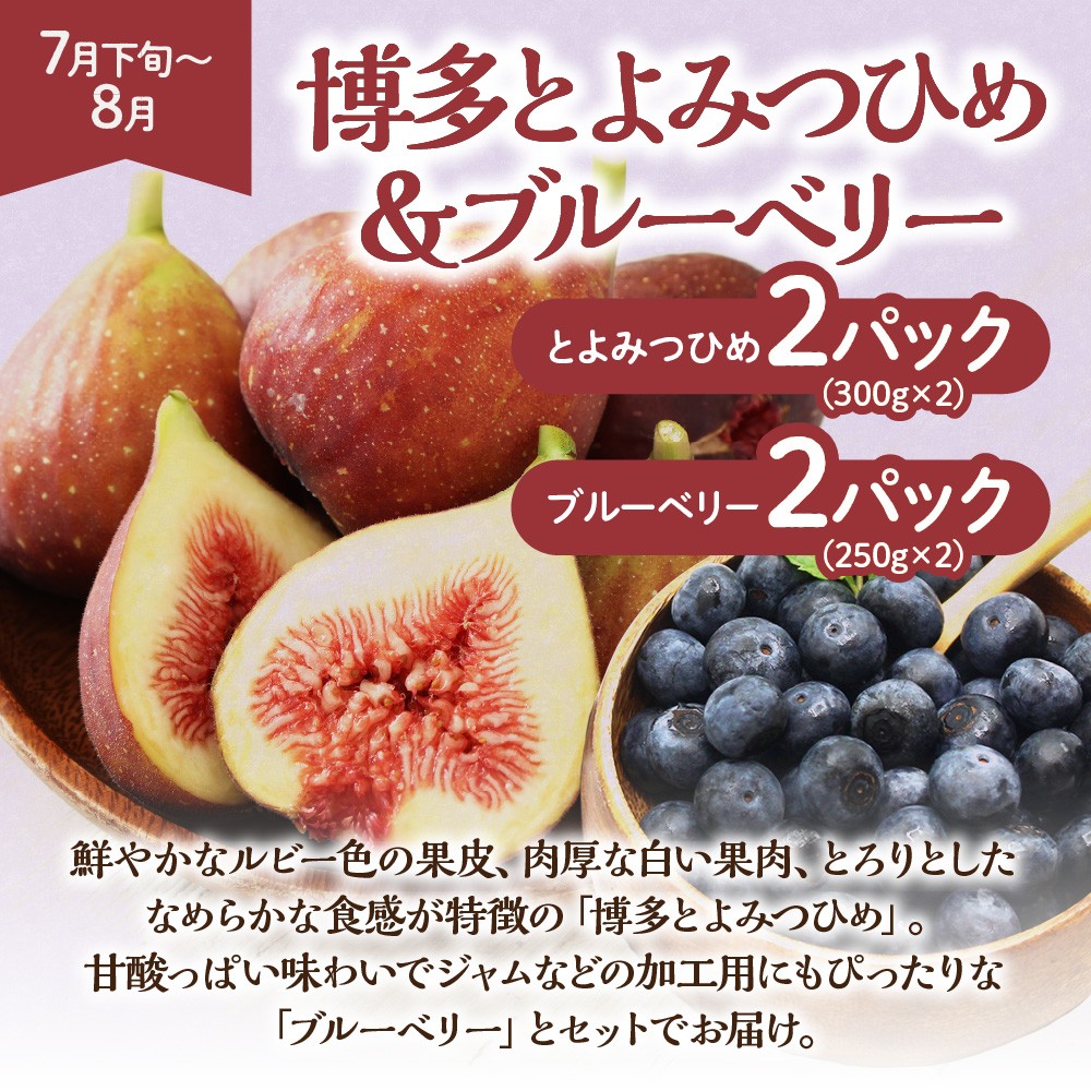 【定期便/年5回】JAむなかた厳選！人気フルーツ定期便