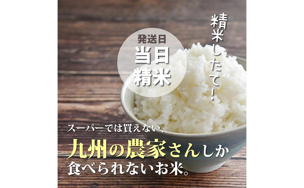 福岡県産【特A】評価のお米「元気つくし」5kg×2袋 計10kg ［白米］