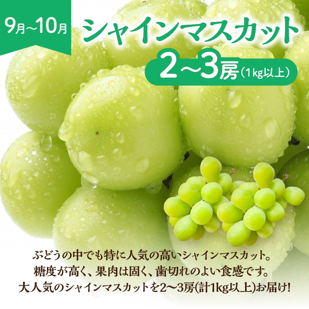 【定期便/年5回】JAむなかた厳選！人気フルーツ定期便