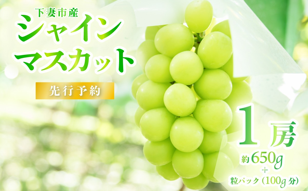 シャインマスカット1房（700g以上）