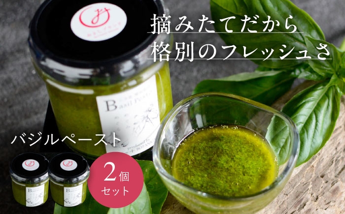 露地栽培 バジル ペースト フレッシュ イタリアン パスタ ピザ 料理 調味料 ハーブ