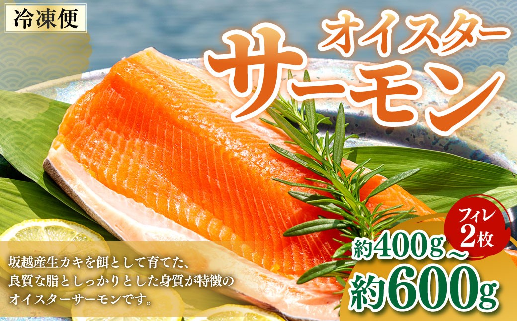 兵庫県産 オイスターサーモン（冷凍）（フィレ 2枚）400g～600g