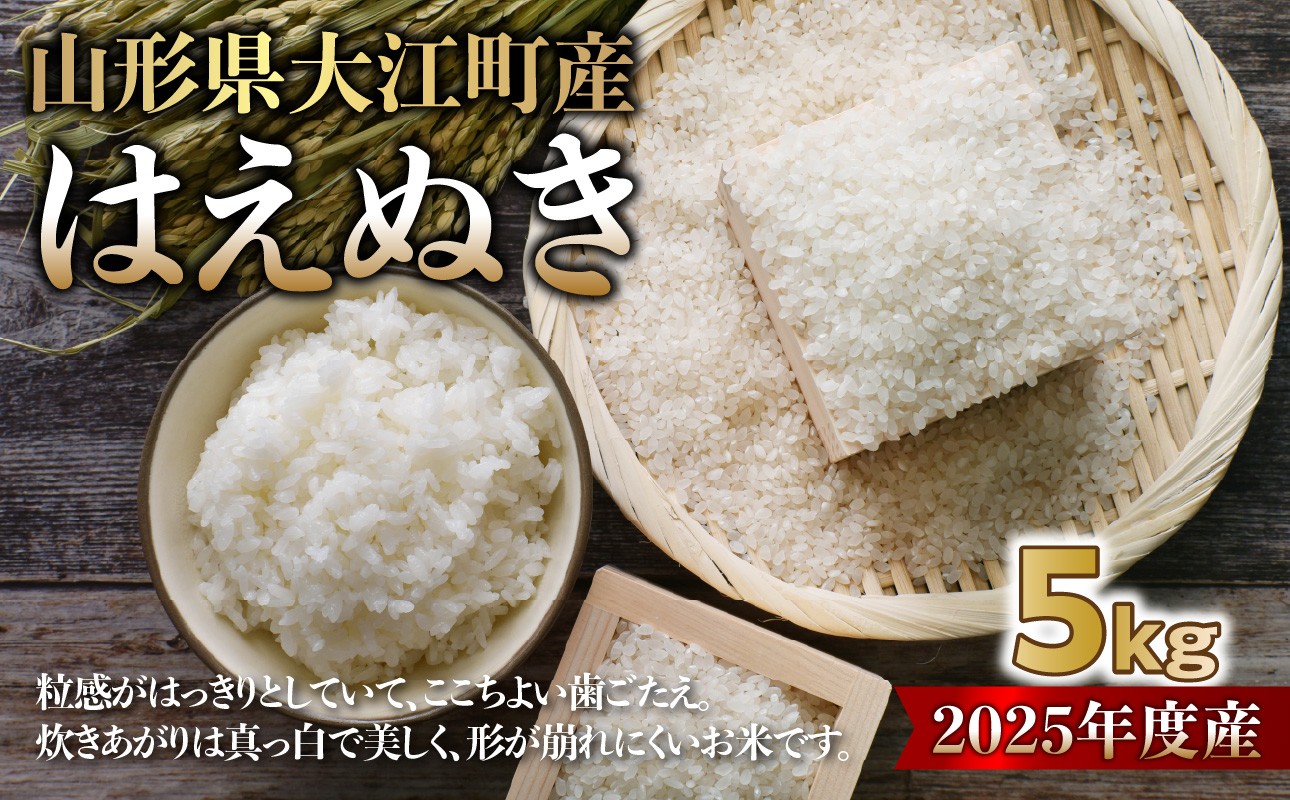 山形県大江町産 はえぬき5kg【2025年度産米】