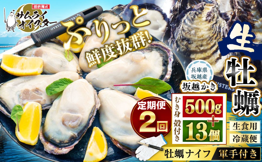 牡蠣 定期便 生食 坂越かき むき身 500g×1、 殻付き 13個