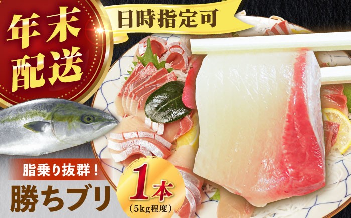 ぶり ブリ 鰤 ぶりしゃぶ しゃぶしゃぶ 刺身 鮮魚 海鮮 魚 五島 五島列島 鍋 年末 正月 日付指定 年内発送 年内配送