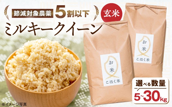【選べる容量】 滋賀県湖北産 湖北のミルキークイーン 5・10・20・30kg (玄米)　米 お米 ご飯 ごはん ゴハン