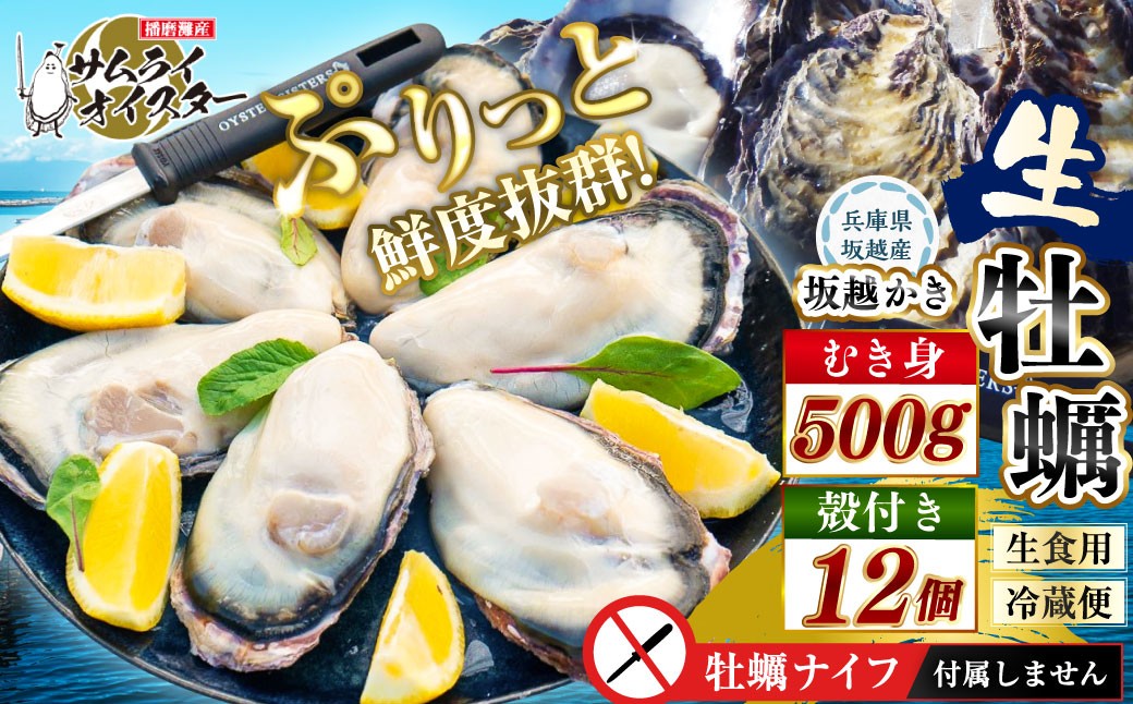 牡蠣 生食 坂越かき むき身 500g×1、 殻付き 12個