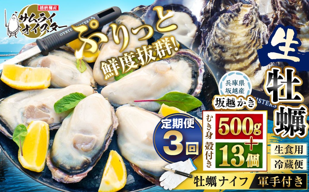 牡蠣 定期便 生食 坂越かき むき身 500g×1、 殻付き 13個