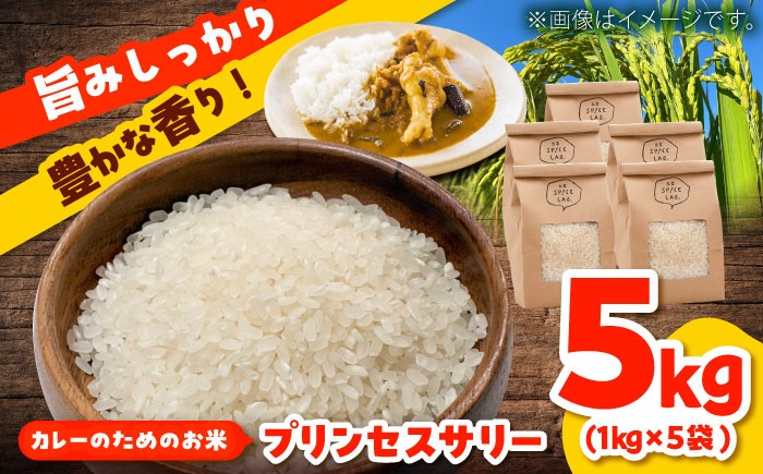 島根県 雲南市 大東町 ブランド米 インディカ米 プリンセスサリー 国産 小分け 人気 おすすめ 在庫限り 数量限定