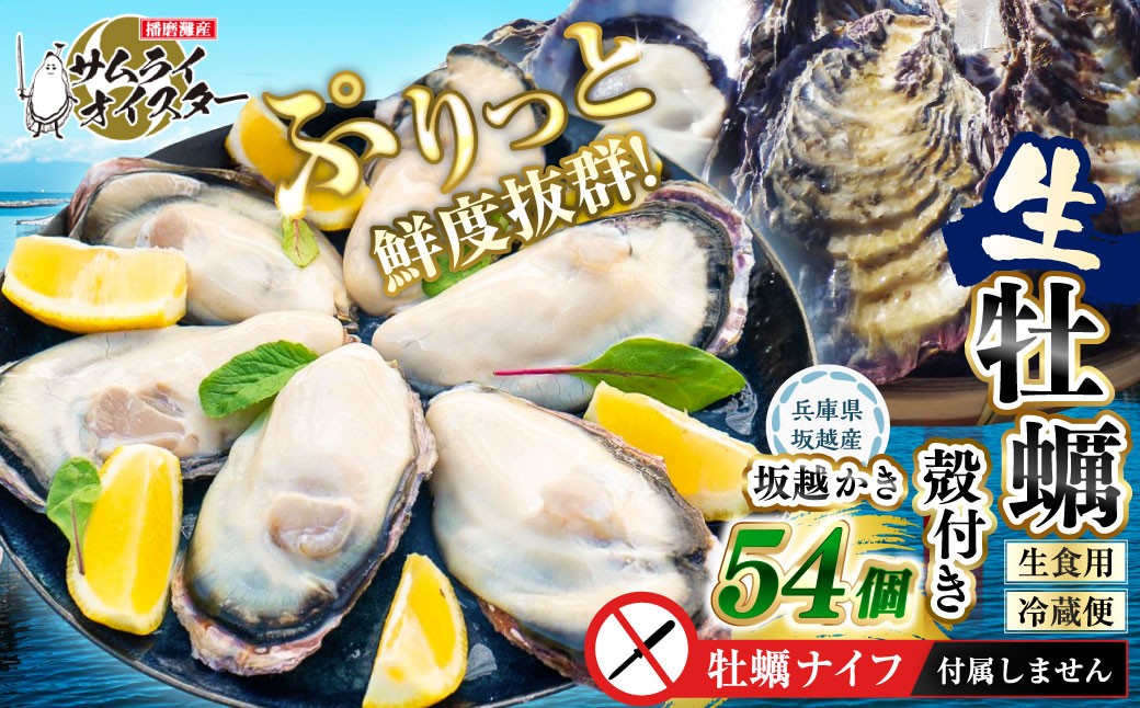 牡蠣 生食 坂越かき 殻付き54個