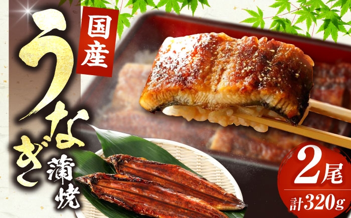 うなぎ 鰻 国産 福岡県産 蒲焼 かば焼き 土用 丑の日 ギフト 贈答