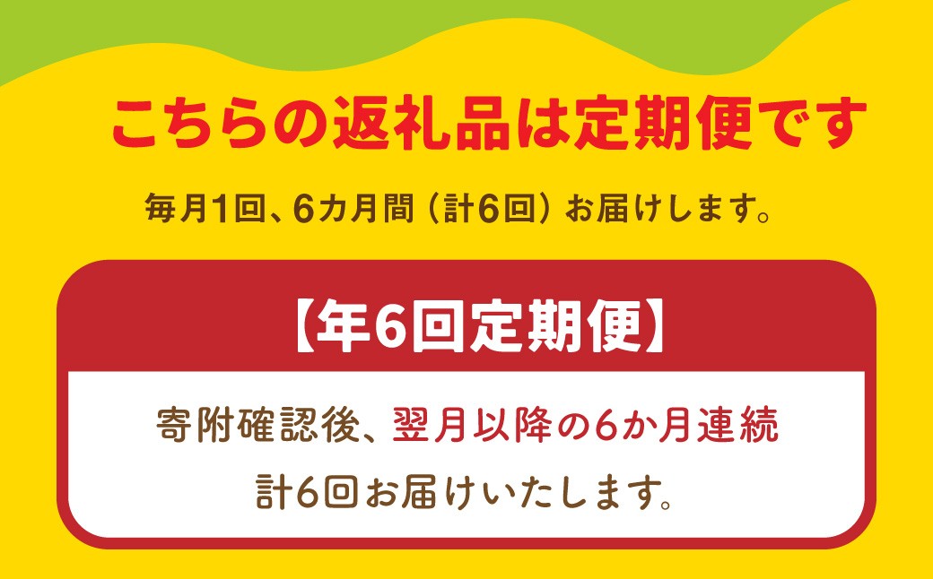 【6ヶ月連続定期便】スザンヌが選ぶ熊本ギフト 果物定期便6ヶ月