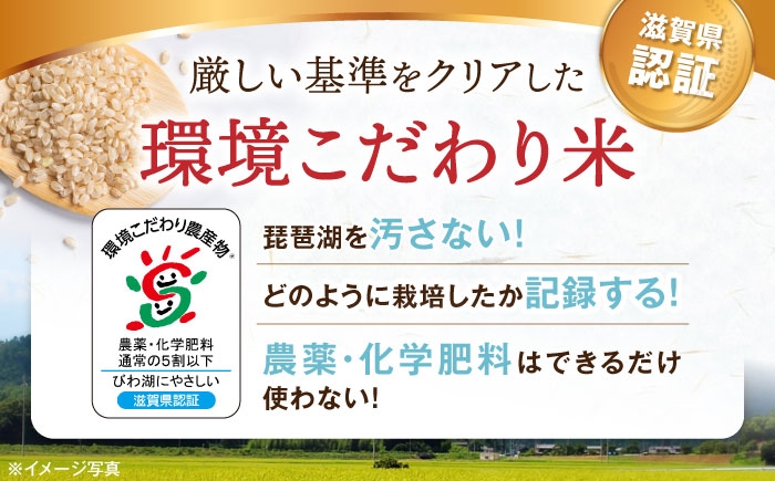 【選べる容量】 滋賀県湖北産 湖北のコシヒカリ 5・10・20・30kg(玄米)　米 お米 ご飯 ごはん ゴハン