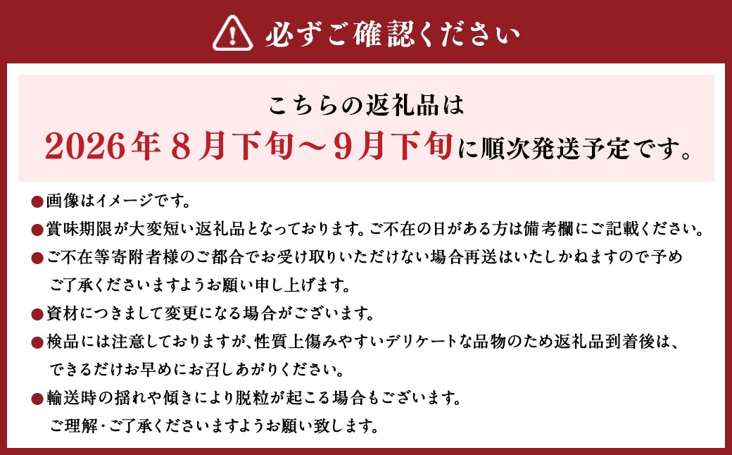 内子町産 シャインマスカット 赤秀 1房入 約750g以上
