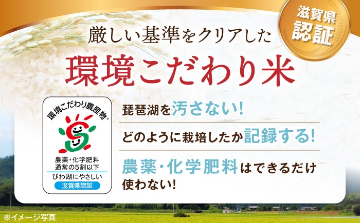  滋賀県湖北産 湖北のコシヒカリ 18kg(白米)　米 お米 ご飯 ごはん ゴハン おにぎり 炊き込みご飯 人気 おすすめ
