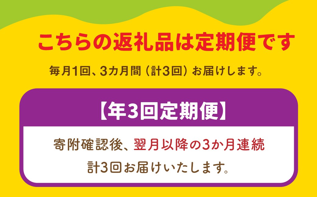 【3か月連続定期便】スザンヌが選ぶ熊本ギフト 果物定期便3ヶ月