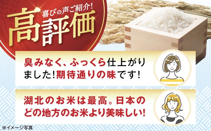 滋賀県湖北産 湖北のコシヒカリ 9kg(白米)　米 お米 ご飯 ごはん ゴハン おにぎり 炊き込みご飯 人気 おすすめ