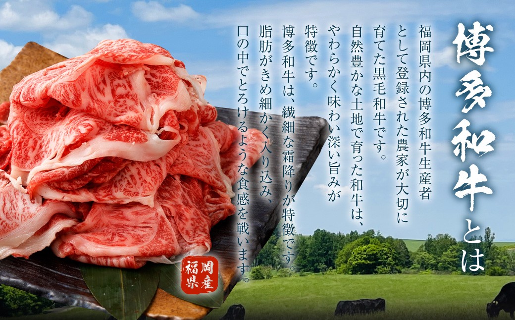 博多和牛 リッチな切り落とし