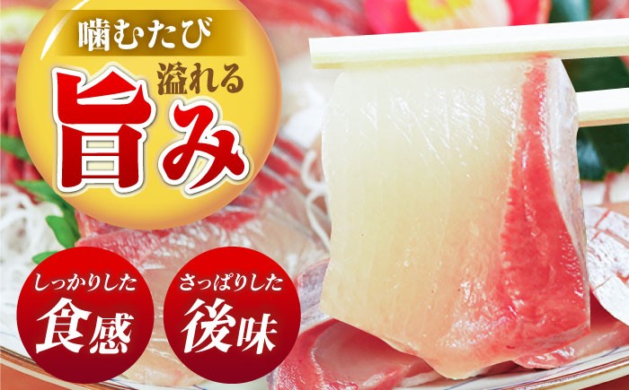 ぶり ブリ 鰤 ぶりしゃぶ しゃぶしゃぶ 刺身 鮮魚 海鮮 魚 五島 五島列島 鍋 年末 正月 日付指定 年内発送 年内配送